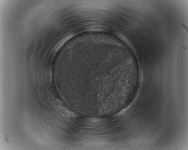 X0000100380829200806271332