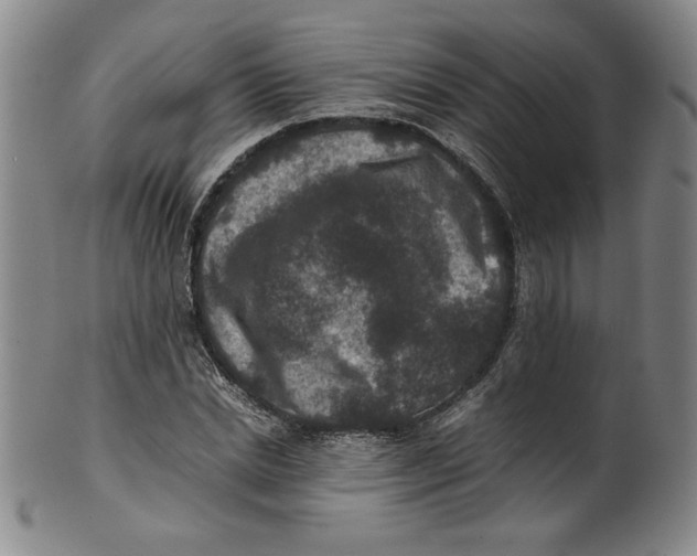 X0000100380830200806271332