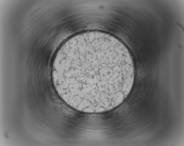 X0000100380832200806271332