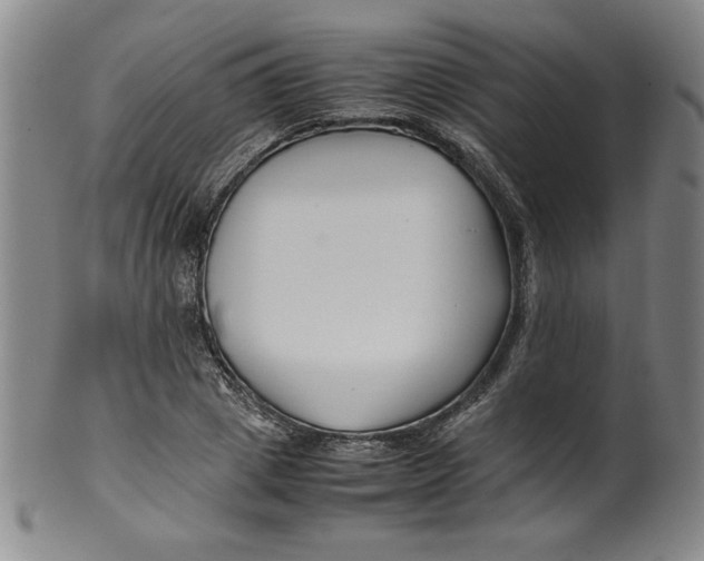 X0000100380833200806271332