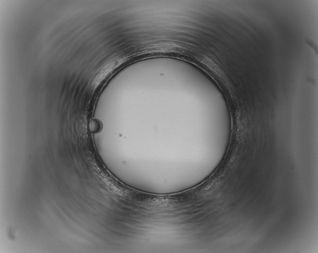 X0000100380834200806271332