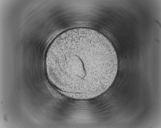 X0000100380836200806271332