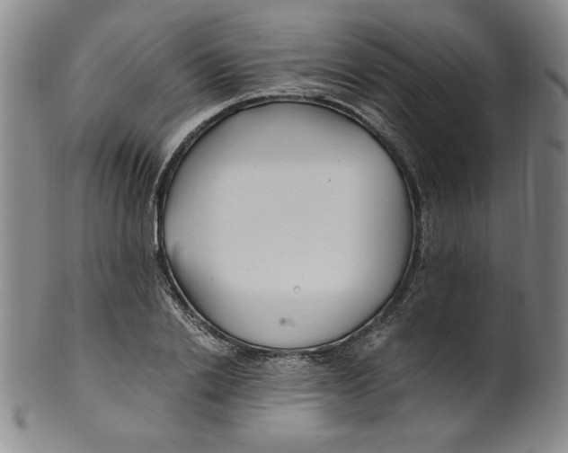 X0000100380838200806271332