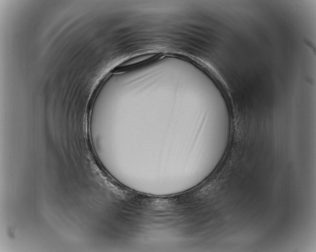 X0000100380839200806271332