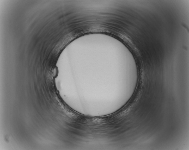 X0000100380841200806271332