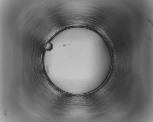 X0000100380842200806271332