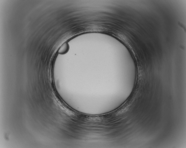 X0000100380843200806271332