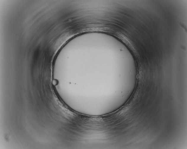 X0000100380844200806271332