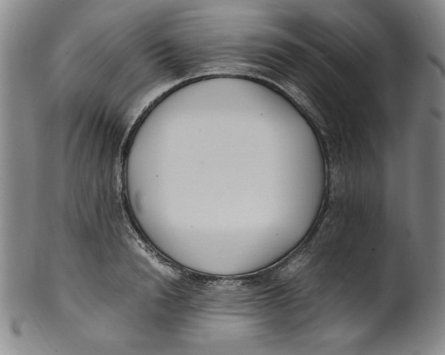 X0000100380846200806271332