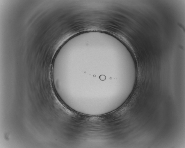 X0000100380847200806271332