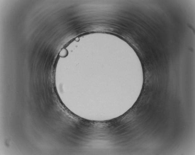 X0000100380848200806271332
