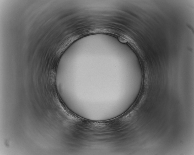 X0000100380849200806271332