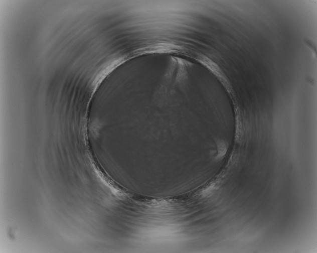 X0000100380850200806271332