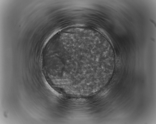 X0000100380851200806271332