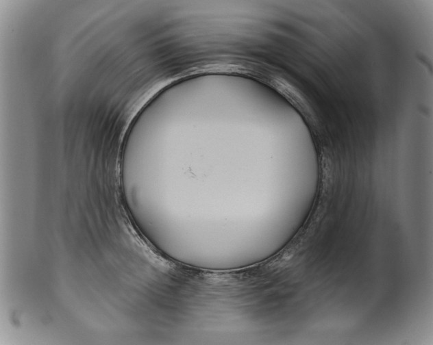 X0000100380852200806271332
