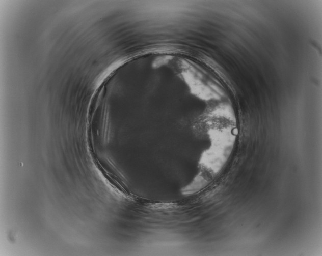 X0000100380853200806271332