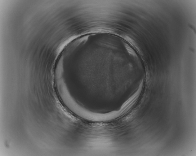 X0000100380854200806271332