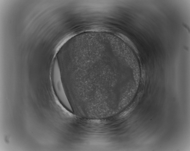 X0000100380855200806271332
