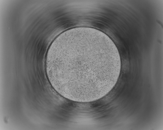 X0000100380856200806271332