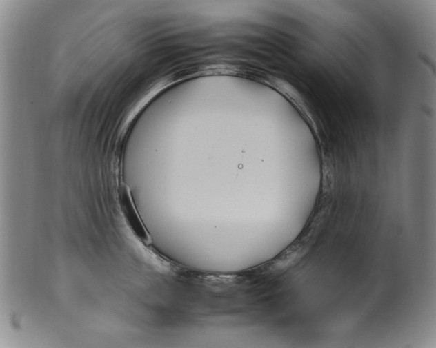 X0000100380859200806271332