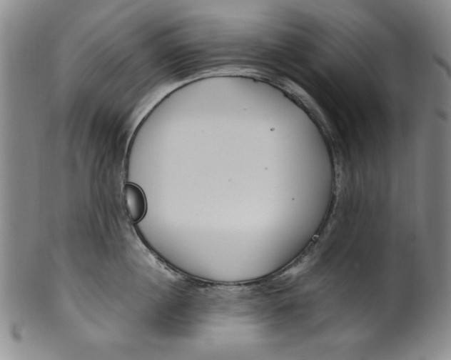 X0000100380860200806271332
