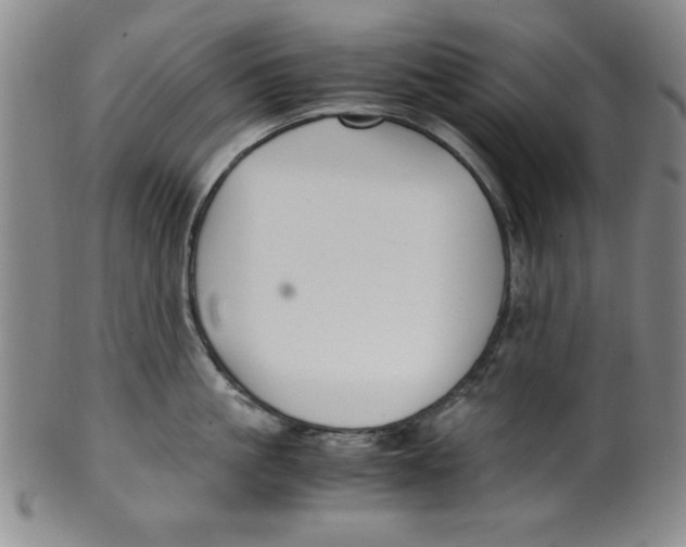 X0000100380861200806271332