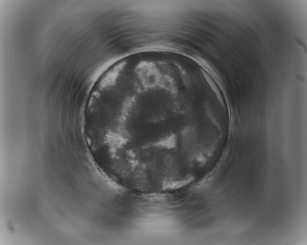 X0000100380862200806271332