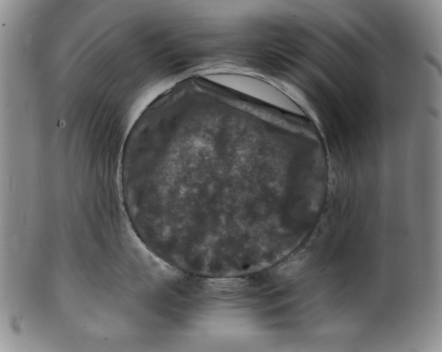 X0000100380863200806271332