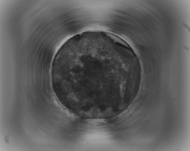 X0000100380864200806271332