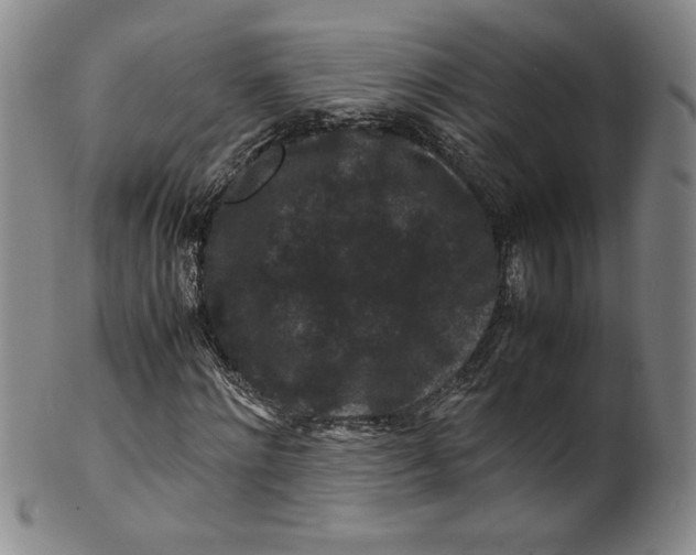 X0000100380868200806271332