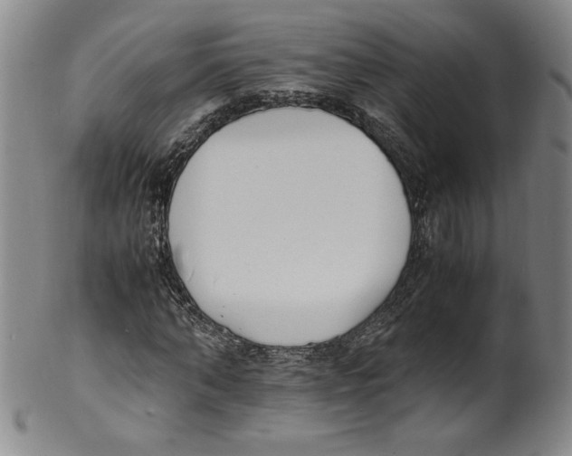 X0000100380870200806271332