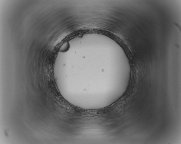 X0000100380871200806271332