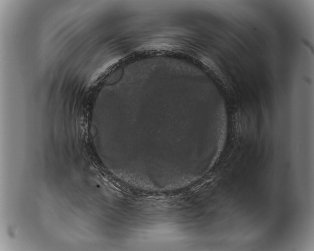 X0000100380872200806271332