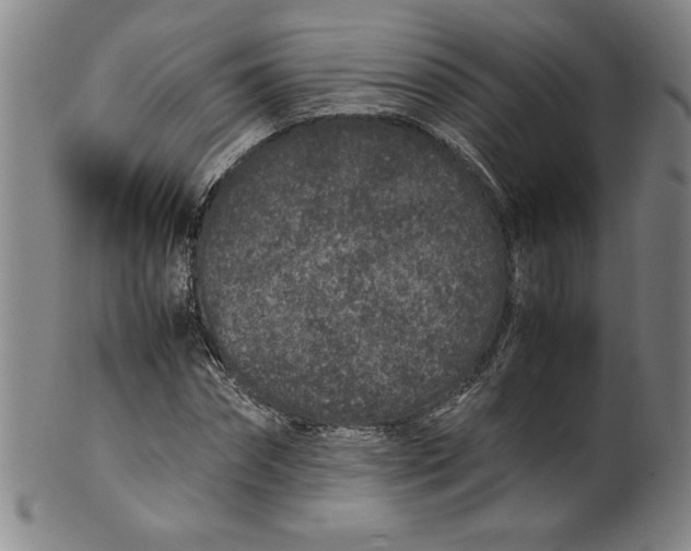 X0000100380874200806271332