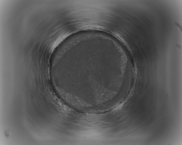 X0000100380877200806271332