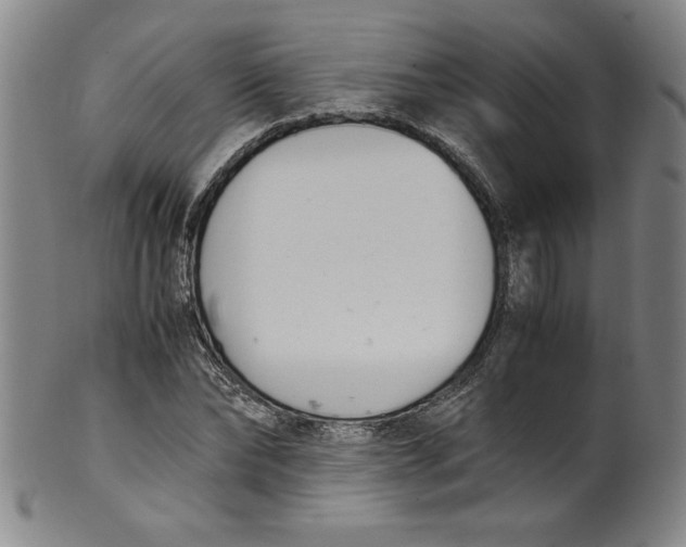 X0000100380878200806271332