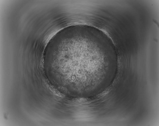 X0000100380879200806271331