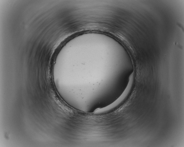 X0000100380880200806271331
