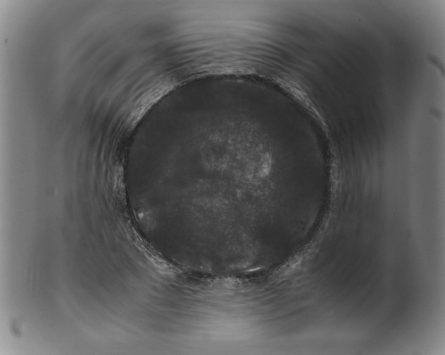X0000100380881200806271331