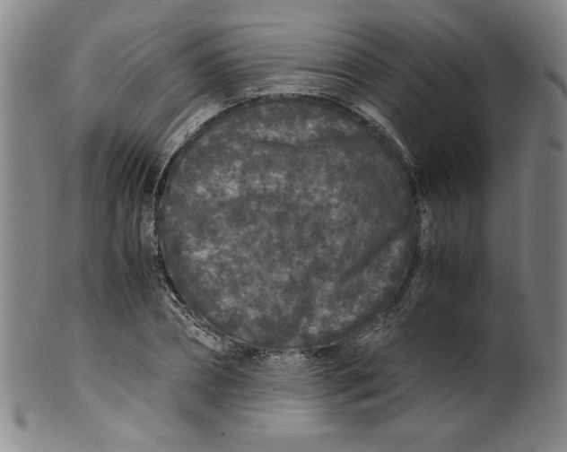 X0000100380882200806271331