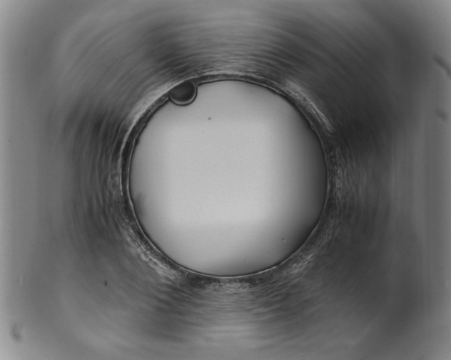 X0000100380884200806271331