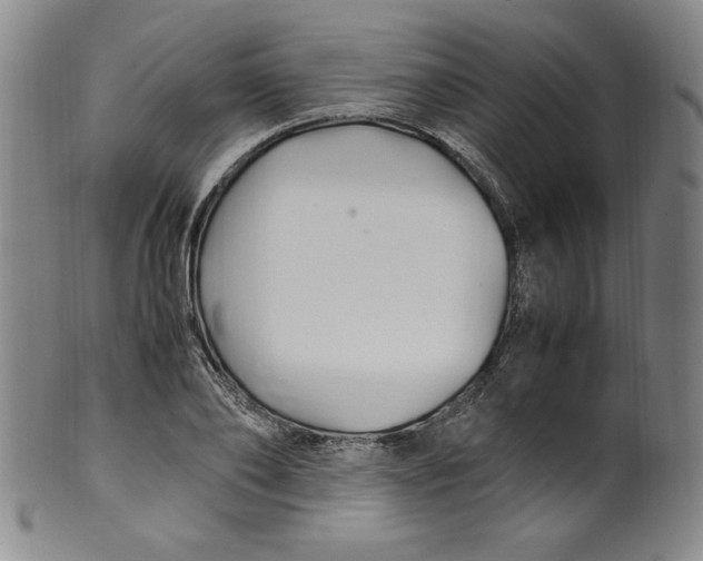 X0000100380886200806271331