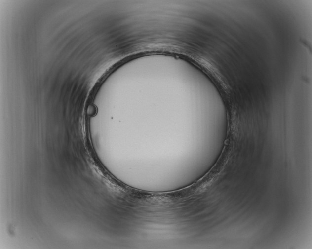 X0000100380888200806271331