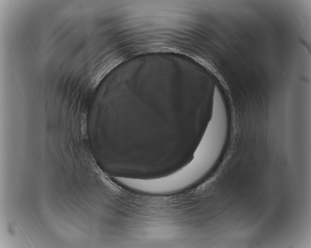 X0000100380889200806271331
