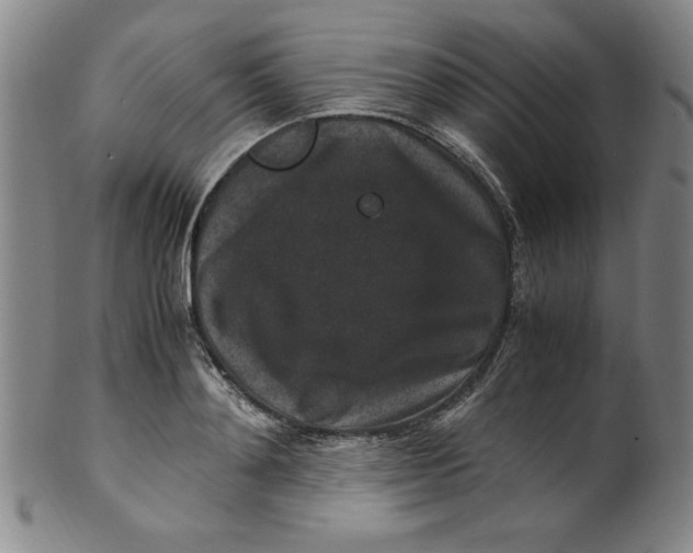 X0000100380892200806271331