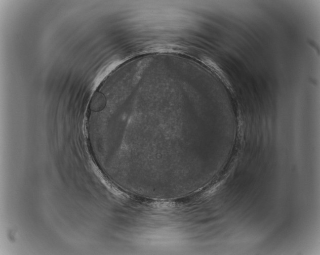 X0000100380893200806271331