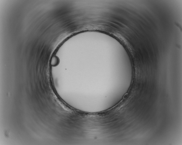 X0000100380894200806271331