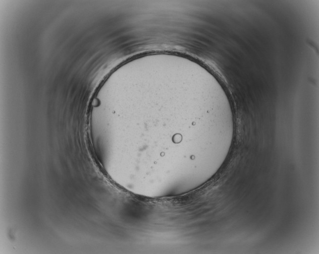 X0000100380895200806271331