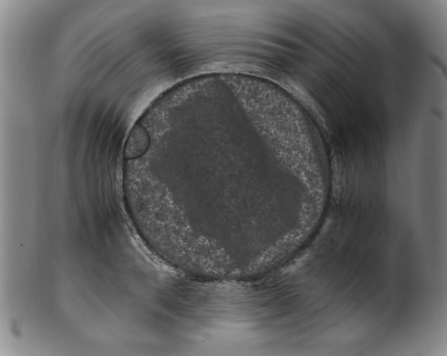 X0000100380896200806271331