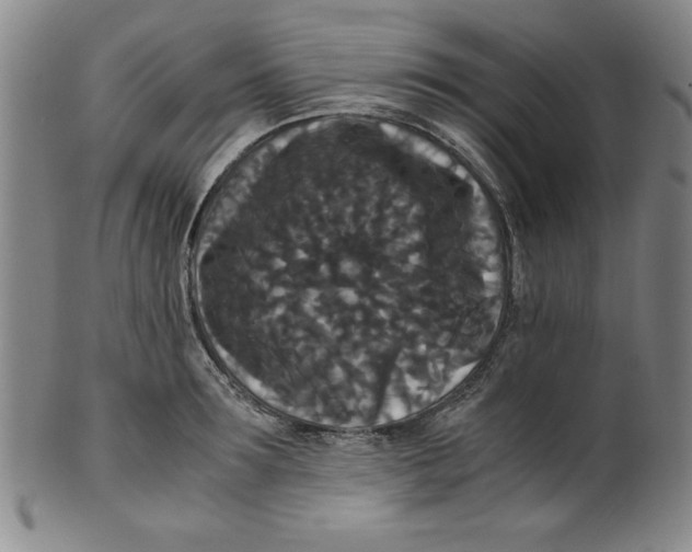 X0000100380899200806271331